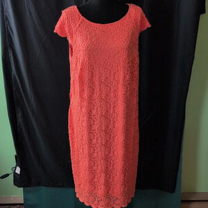 DressBarn Dress. 16W. NWT